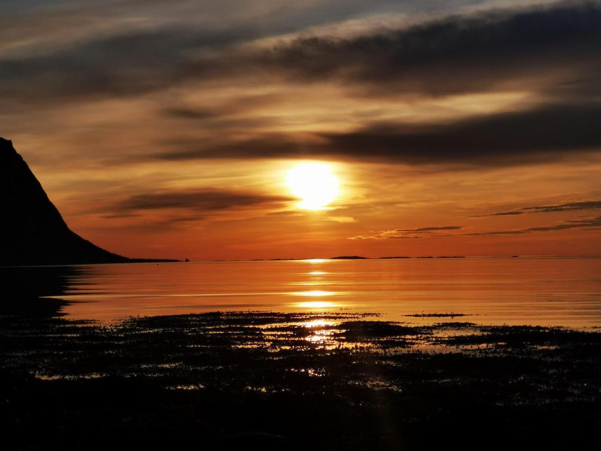 Rystad Midnight Sun And Nature Daire Dış mekan fotoğraf